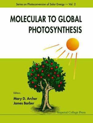 bokomslag Molecular To Global Photosynthesis