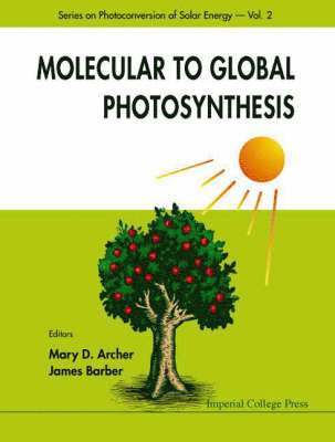Molecular To Global Photosynthesis 1