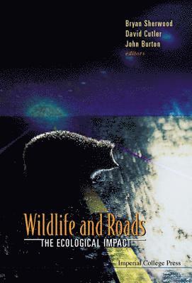 Wildlife And Roads: The Ecological Impact 1