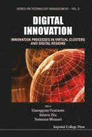 bokomslag Digital Innovation: Innovation Processes In Virtual Clusters And Digital Regions