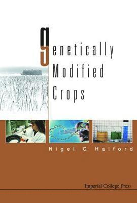 bokomslag Genetically Modified Crops