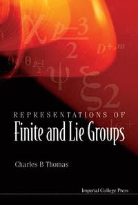 bokomslag Representations Of Finite And Lie Groups