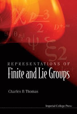 bokomslag Representations Of Finite And Lie Groups