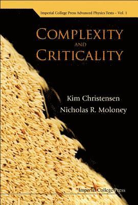 Complexity And Criticality 1