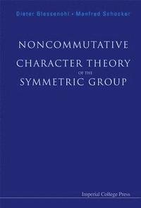 bokomslag Noncommutative Character Theory Of The Symmetric Group