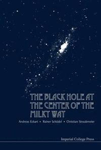 bokomslag Black Hole At The Center Of The Milky Way, The