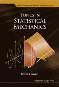 bokomslag Topics In Statistical Mechanics