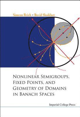 Simeon Reich, David Shoikhet, Israel) Reich, Simeon (Technion-israel Inst Of Tech, Israel) Shoikhet, David (The Technion - Israel Inst Of Tech, REICH SIMEON - Nonlinear Semigroups, Fixed Points, And Geometry Of Domains In Banach Spaces, Inbunden
