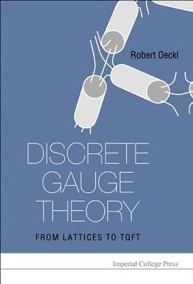 bokomslag Discrete Gauge Theory: From Lattices To Tqft