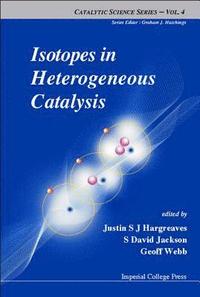 bokomslag Isotopes In Heterogeneous Catalysis
