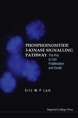 Phosphoinositide 3-kinase Signalling Pathway: The Key To Cell Proliferation And Death 1