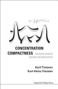 bokomslag Concentration Compactness: Functional-analytic Grounds And Applications