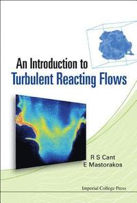bokomslag Introduction To Turbulent Reacting Flows, An