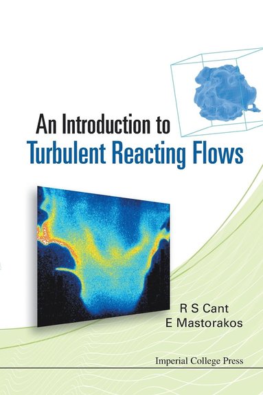 bokomslag Introduction To Turbulent Reacting Flows, An