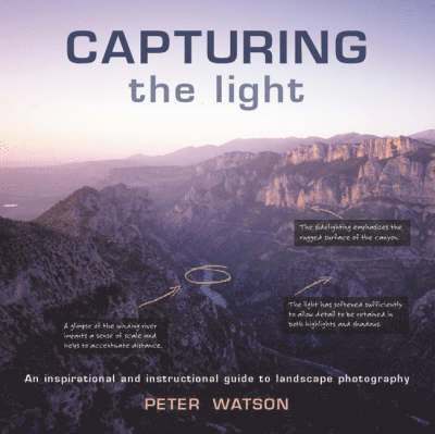 Capturing the Light 1