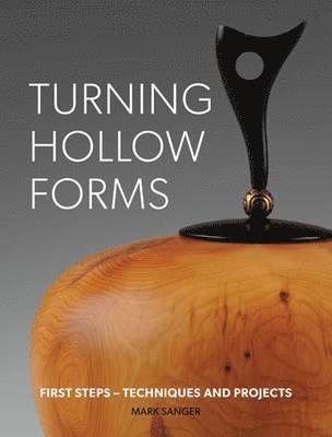 bokomslag Turning Hollow Forms