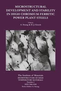 bokomslag Microstructural Development and Stability in High Chromium Ferritic Power Plant Steels