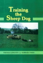 Training the Sheep Dog 1