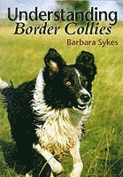 bokomslag Understanding Border Collies