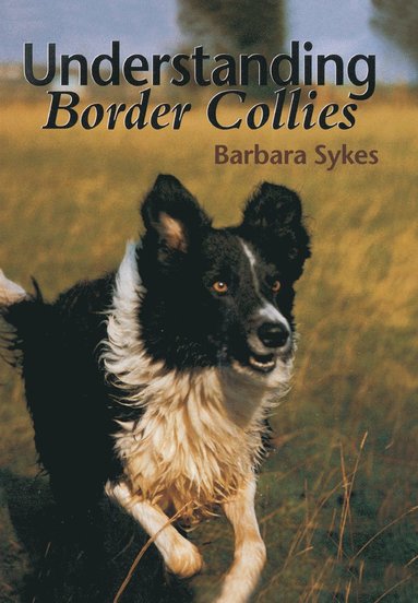 bokomslag Understanding Border Collies