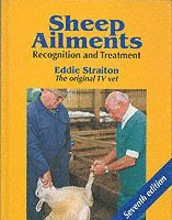 bokomslag Sheep Ailments