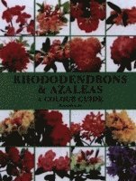bokomslag Rhododendrons and azaleas - a colour guide