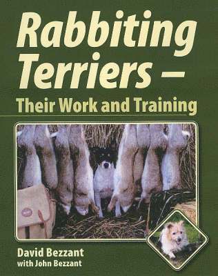 Rabbiting Terriers 1