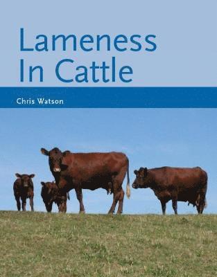 bokomslag Lameness in Cattle