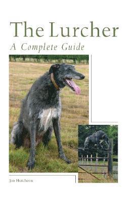 The Lurcher 1