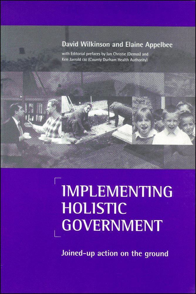 David Wilkinson, Elaine Appelbee - Implementing holistic government, Häftad