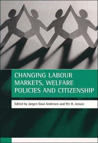 bokomslag Changing labour markets, welfare policies and citizenship