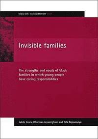 bokomslag Invisible families