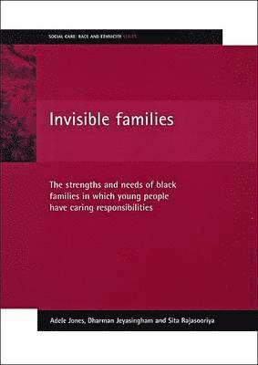 bokomslag Invisible families