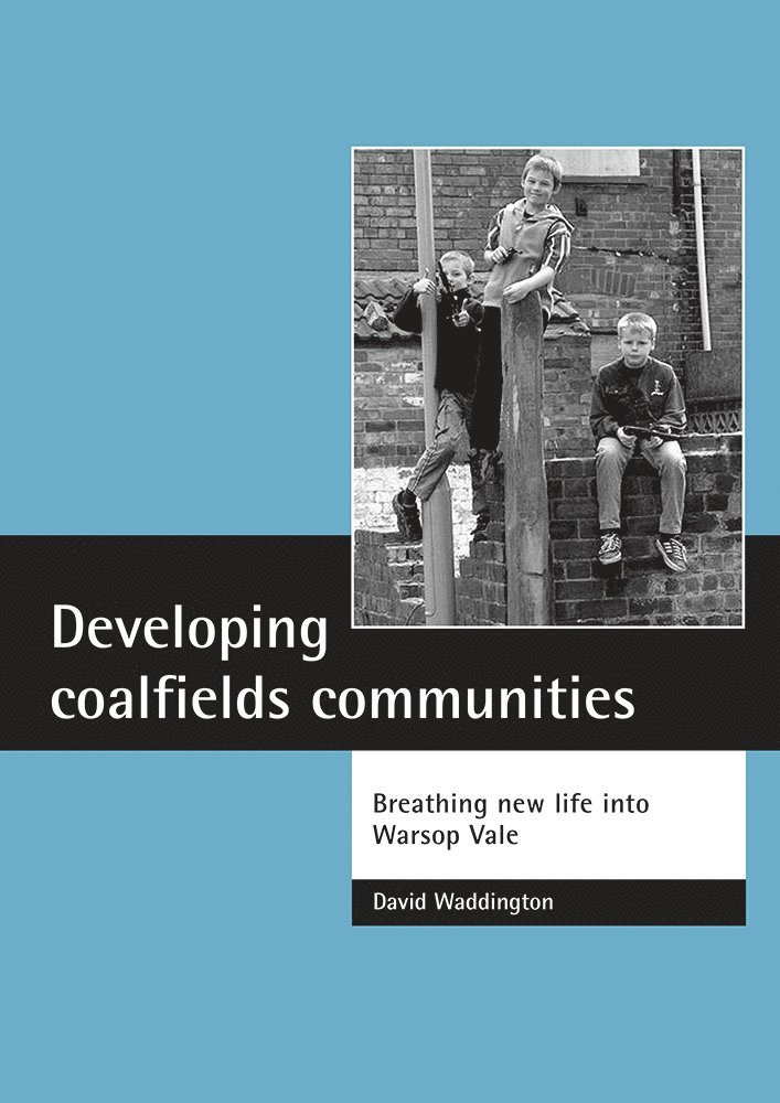 David Waddington - Developing coalfields communities, Häftad
