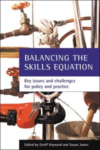 bokomslag Balancing the skills equation