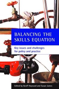 bokomslag Balancing the Skills Equation