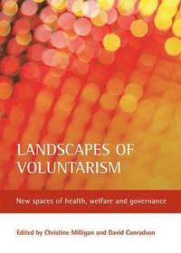 bokomslag Landscapes of Voluntarism