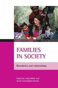 bokomslag Families in society