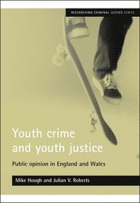 bokomslag Youth crime and youth justice