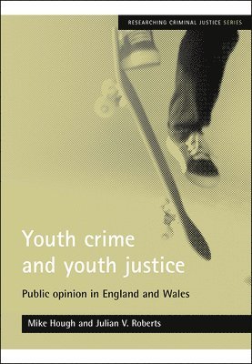 Youth crime and youth justice 1