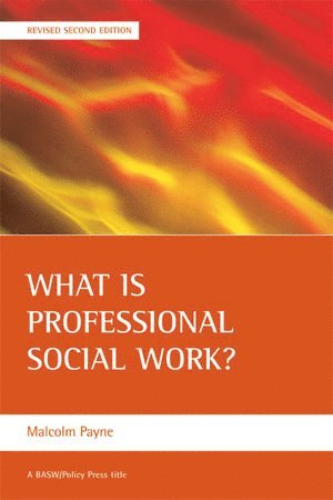 bokomslag What is professional social work?