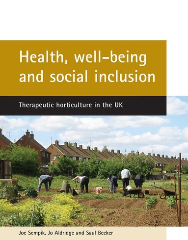 Joe Sempik, Jo Aldridge, Saul Becker - Health, well-being and social inclusion, Häftad