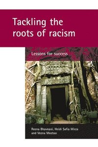 bokomslag Tackling the roots of racism