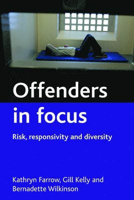 bokomslag Offenders in focus