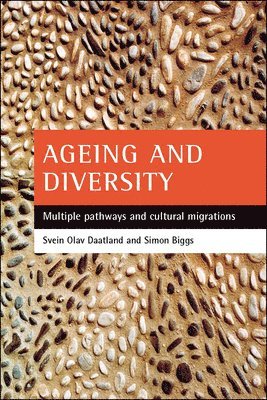 bokomslag Ageing and diversity