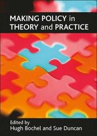 bokomslag Making policy in theory and practice