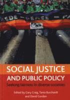 bokomslag Social justice and public policy