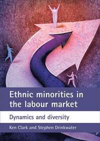 bokomslag Ethnic minorities in the labour market