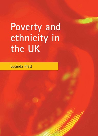 Lucinda Platt - Poverty and ethnicity in the UK, Häftad