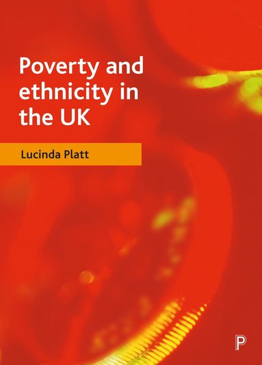 bokomslag Poverty and ethnicity in the UK